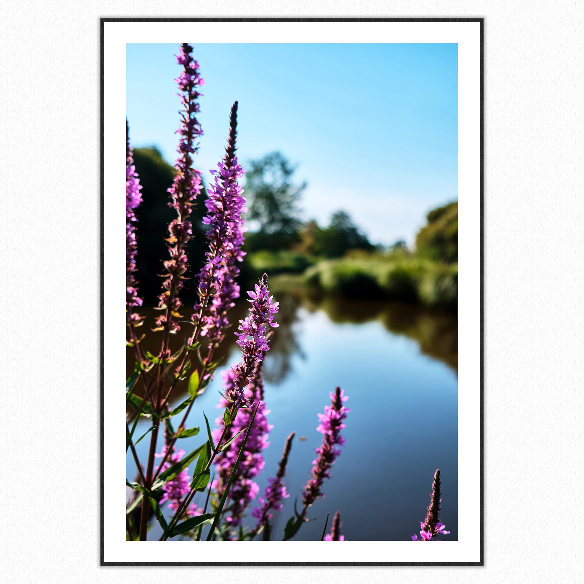 20022_Pays_de_la_loire_2-3